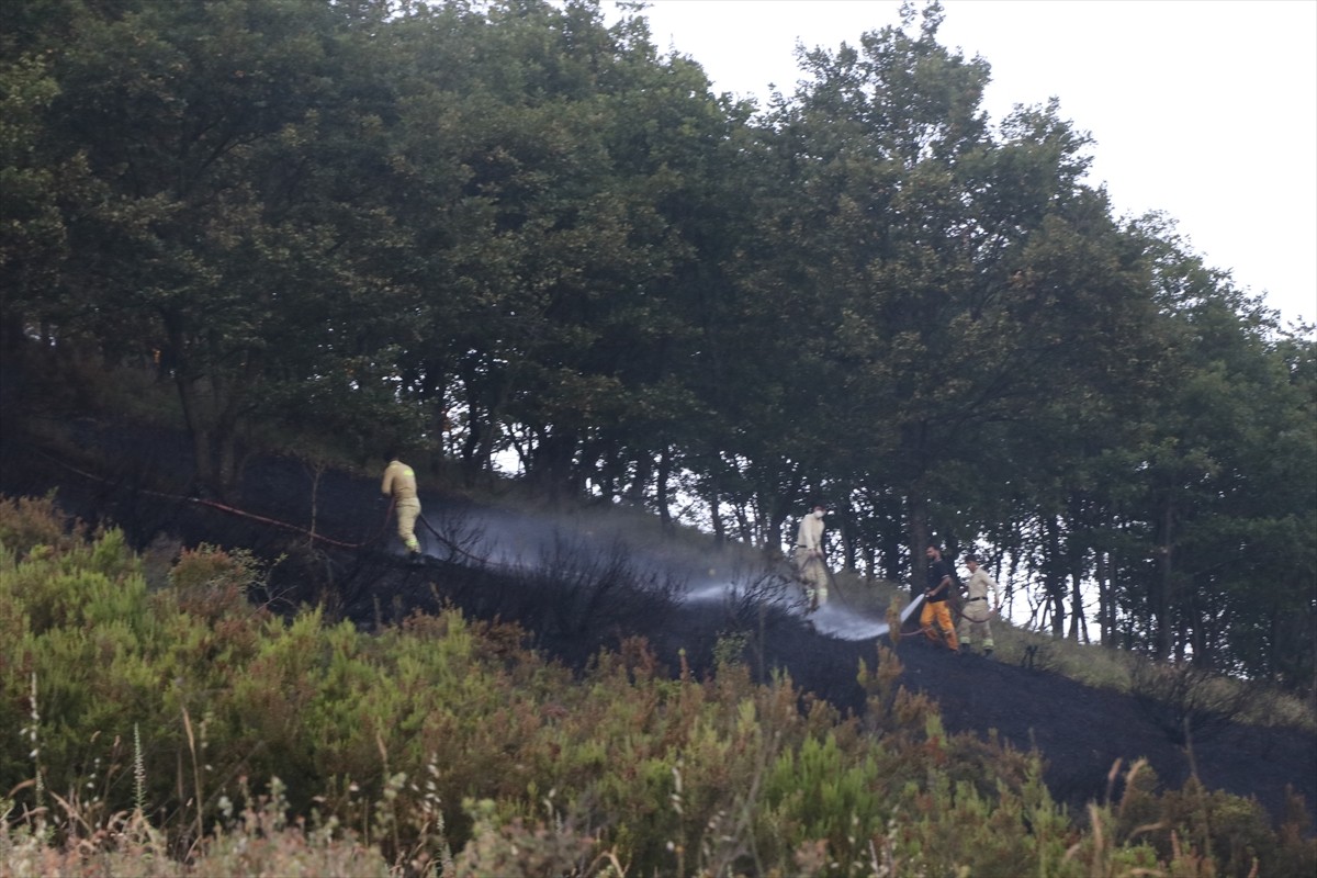 Yalova-Bursa sınırında çıkan orman yangını havadan ve karadan müdahale ile kontrol altına...