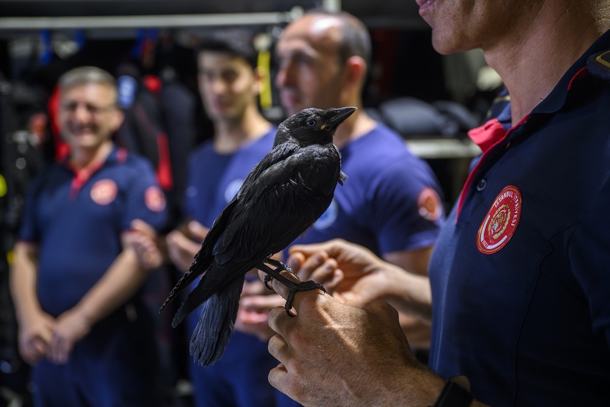Yavruyken Arnavutköy'de bir evin bacasına sıkışan ve vatandaşların ihbarı üzerine itfaiye...