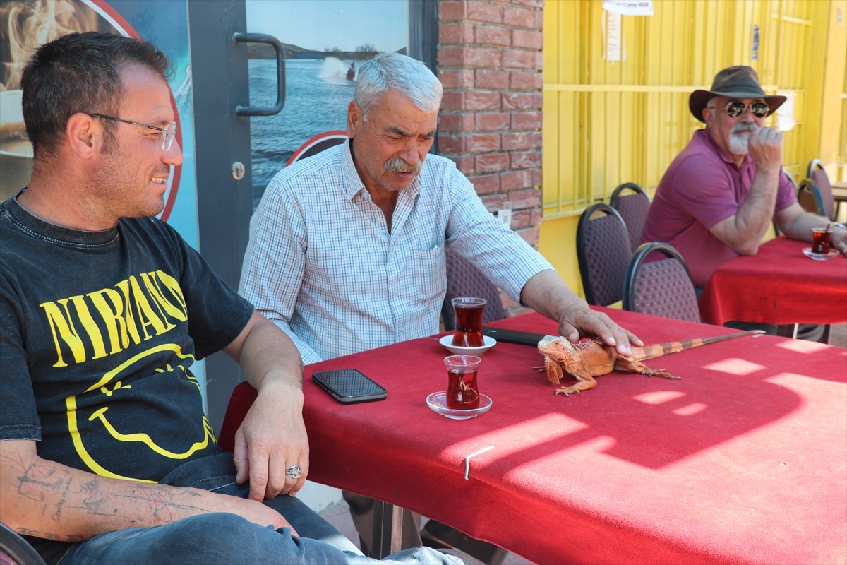 Yozgat'ın Sorgun ilçesine bağlı Bahadın beldesinde kafe işleten Güner Öztürk'ün satın aldığı ve...