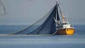 1 Eylül'de Av Yasağı Kalkıyor: Balıkçılar Umutla Hazırlanıyor