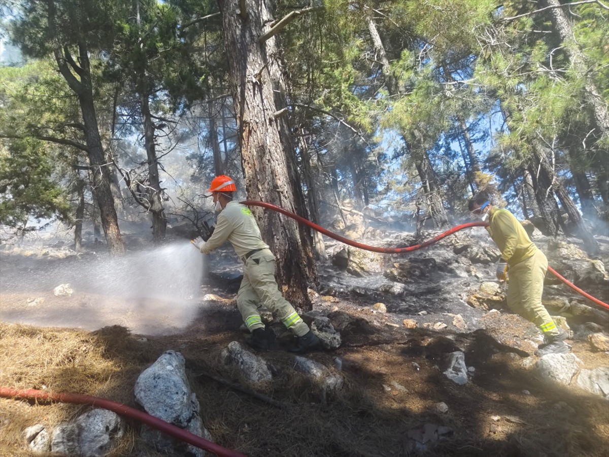 Adana'nın Aladağ ilçesinde çıkan orman yangını, ekiplerin havadan ve karadan müdahalesiyle kontrol...