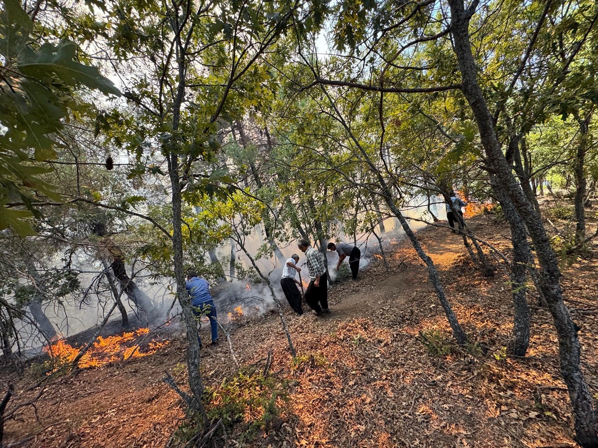 Adana'nın Feke ilçesindeki ormanlık alanda yangın çıktı.