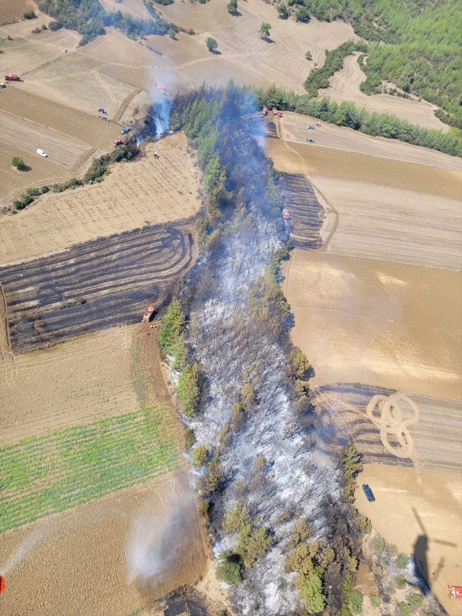 Adana'nın Karaisalı ilçesinde çıkan orman yangını, ekiplerin havadan ve karadan müdahalesiyle...