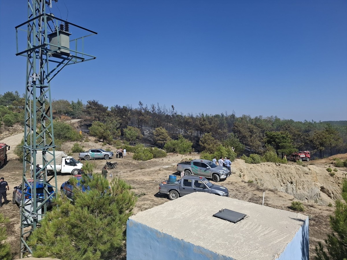 Adana'nın Karaisalı ilçesinde çıkan orman yangını havadan ve karadan yürütülen çalışmalarla...