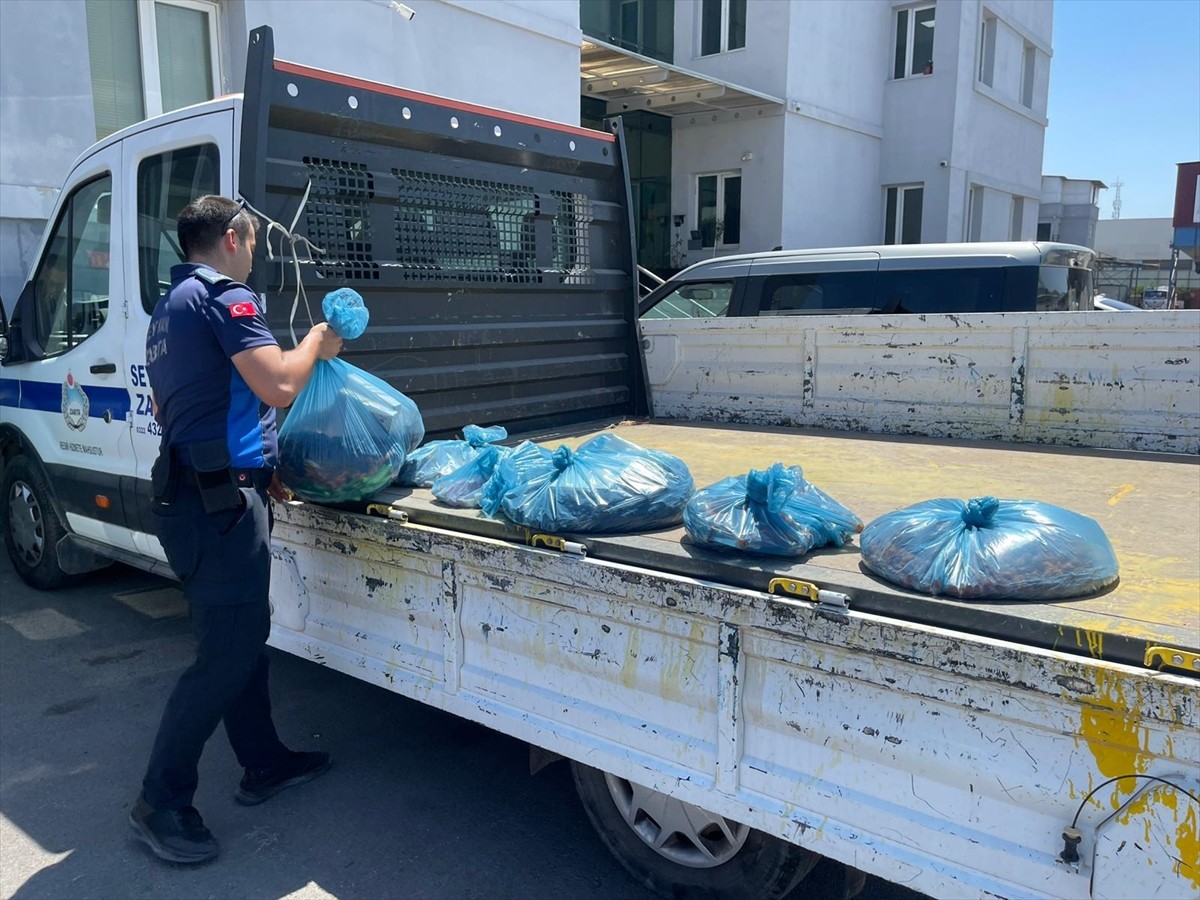 Adana'nın merkez Seyhan ilçesinde bir kuru yemişçideki İlçe Tarım ve Orman Müdürlüğü ekipleri...