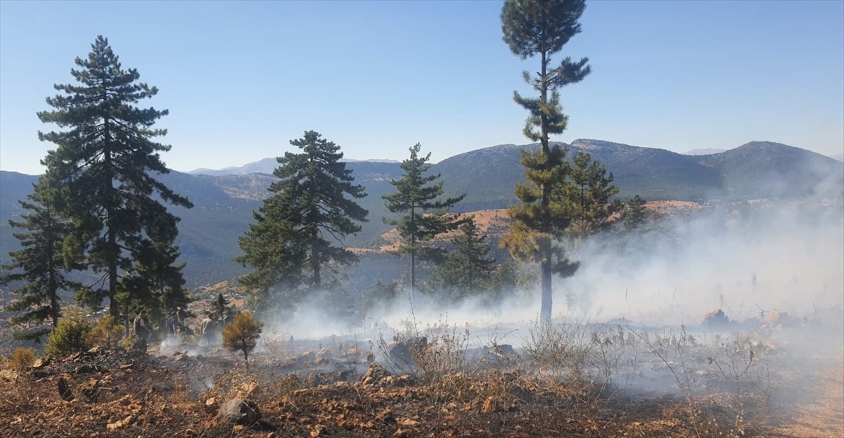 Adana'nın Saimbeyli ilçesinde ormanlık alanda çıkan yangın, ekiplerin havadan ve karadan...
