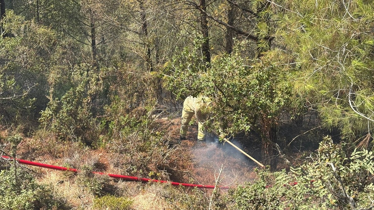 Adana'nın Sarıçam ilçesinde çıkan orman yangını, ekiplerin havadan ve karadan müdahalesiyle...