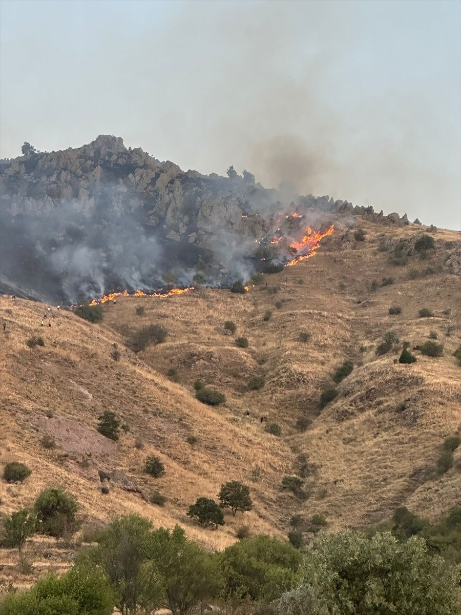 Afyonkarahisar'ın Bolvadin ilçesinde örtü yangını çıktı.