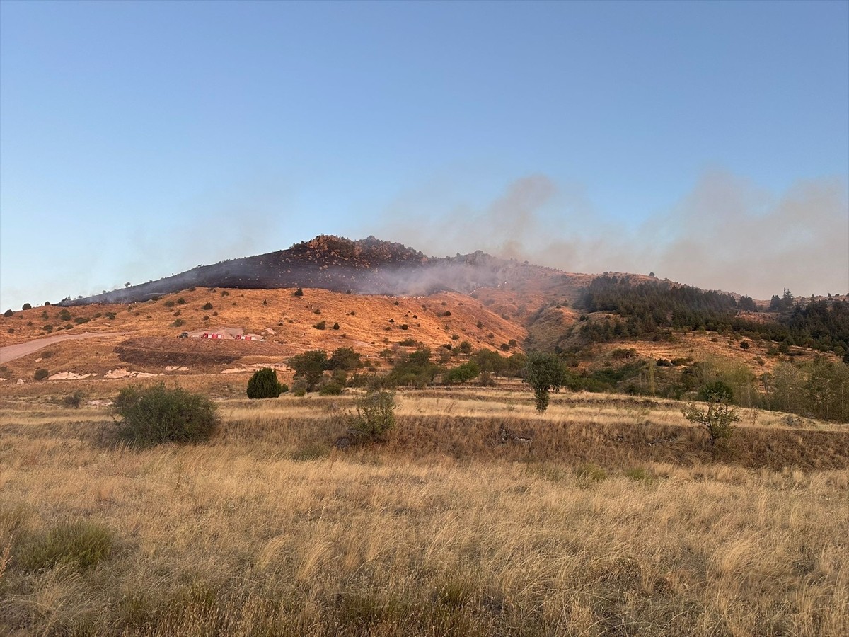 Afyonkarahisar'ın Bolvadin ilçesinde örtü yangını çıktı.