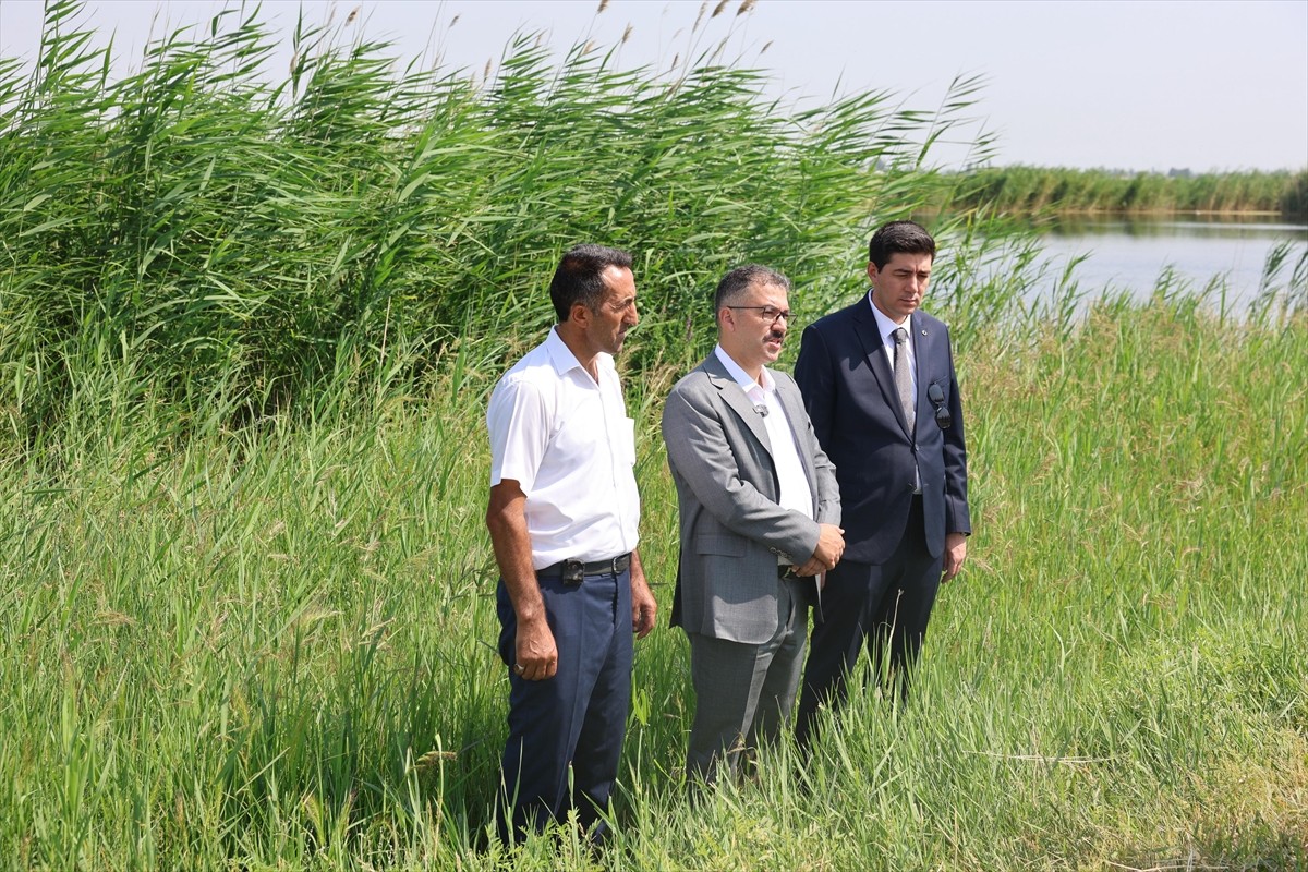 Ağrı Dağı'nın eteklerindeki Iğdır'ın Aralık ve Karakoyunlu ilçeleri arasında yer alan sulak...