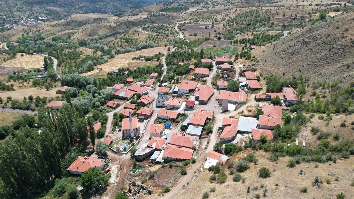 Ankara'nın Çubuk ilçesinde arıcılar çiçek balı hasadına başladı.