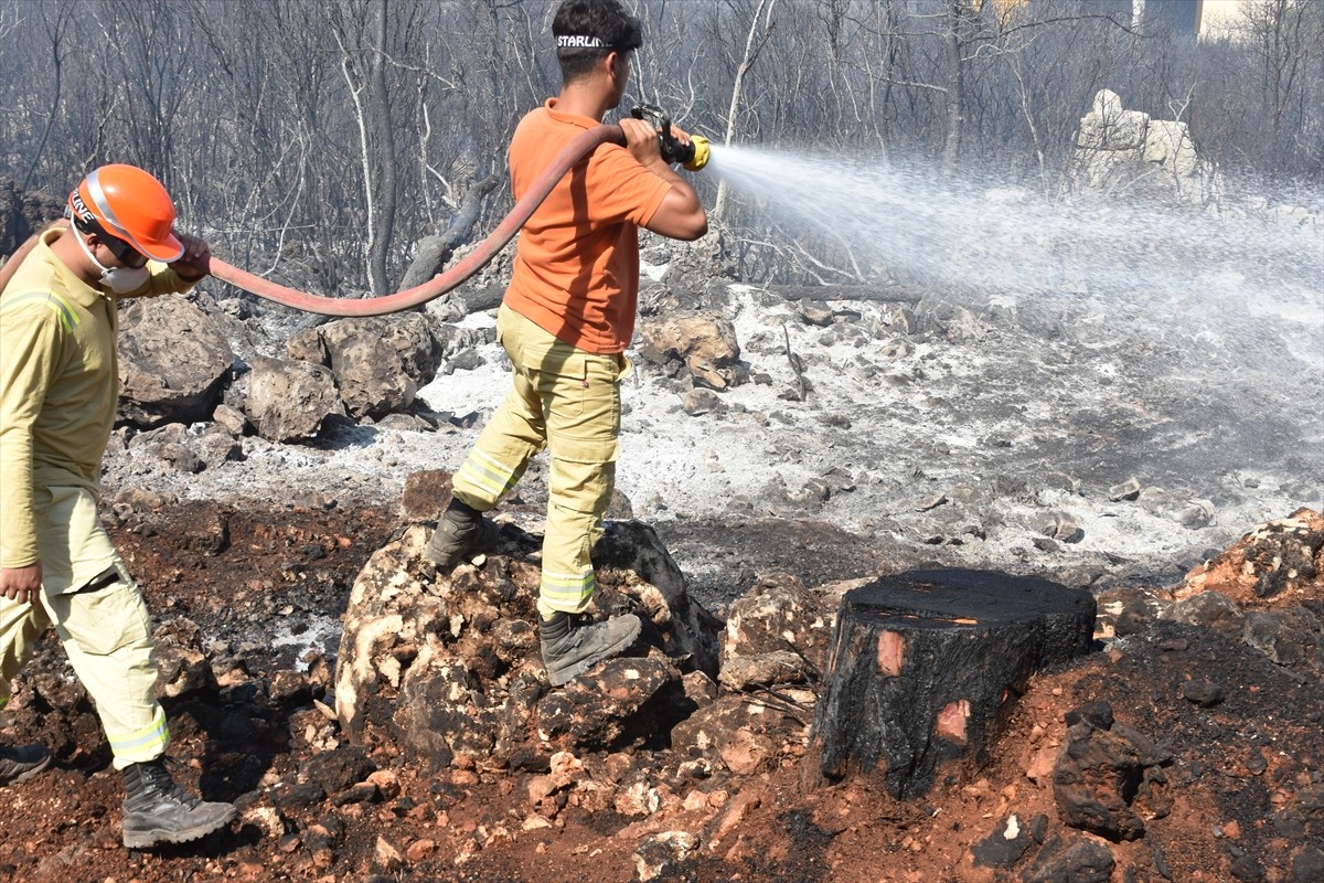 Antalya'nın Kepez ilçesinde orman yakınında çıkan yangın havadan ve karadan müdahaleyle kontrol...