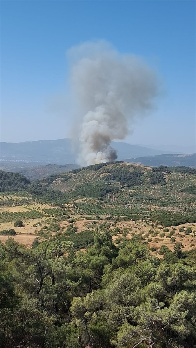 Aydın'ın Germencik ilçesi Dağyeni Mahallesi'nde çıkan orman yangınına havadan ve karadan müdahale...