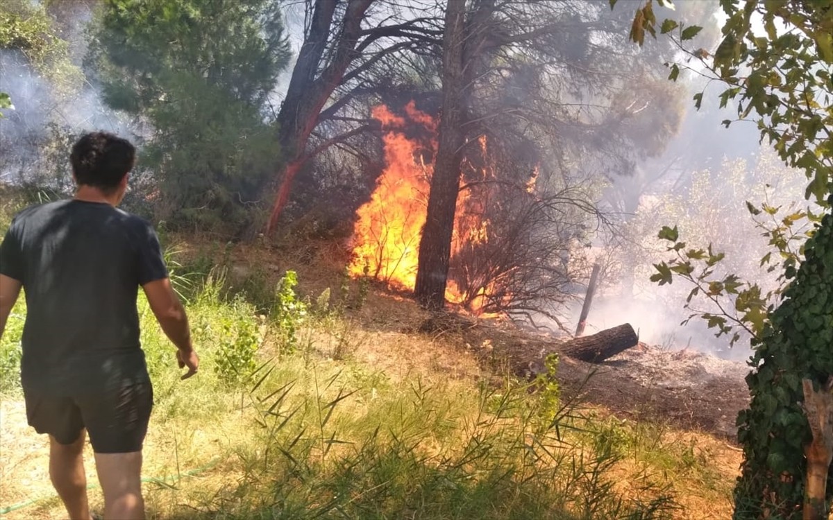 Balıkesir'in Erdek ilçesinde çıkan orman yangını ekiplerin müdahalesiyle kontrol altına...