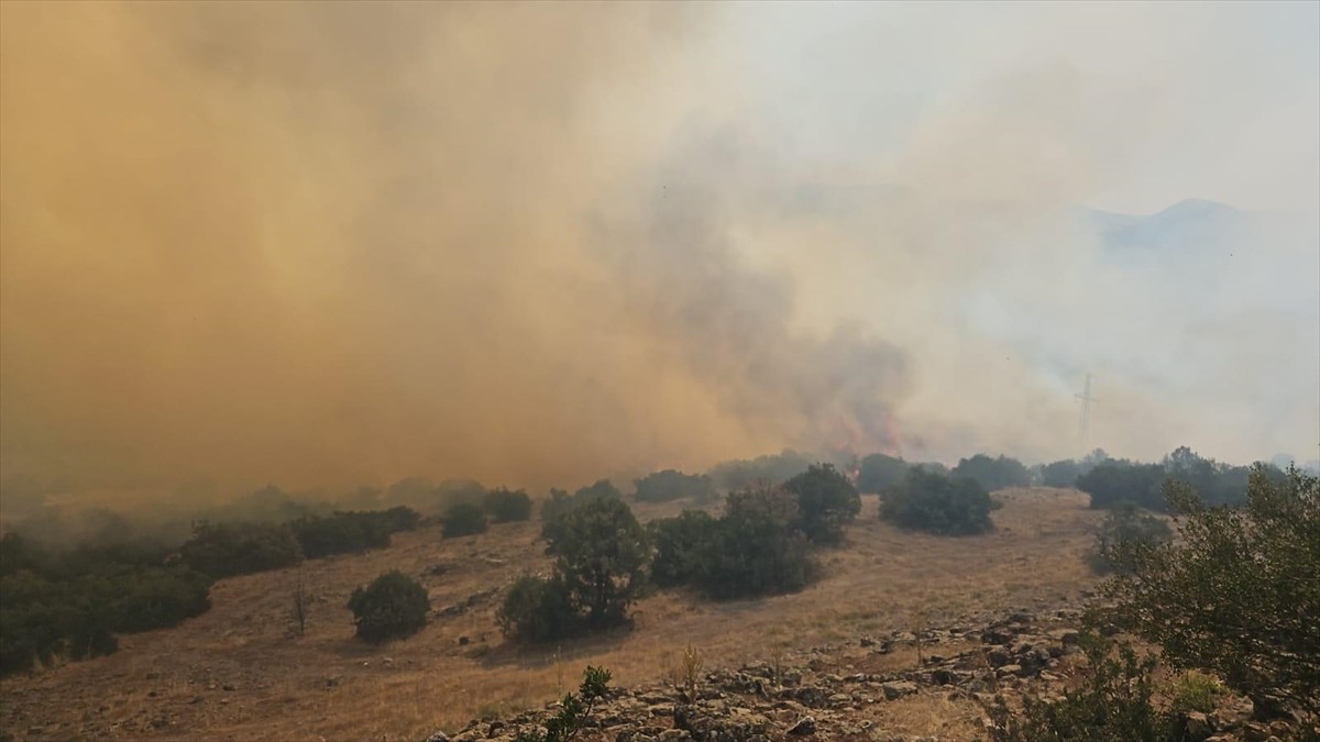 Balıkesir'in Kepsut ilçesindeki ormanlık alanda yangın çıktı.