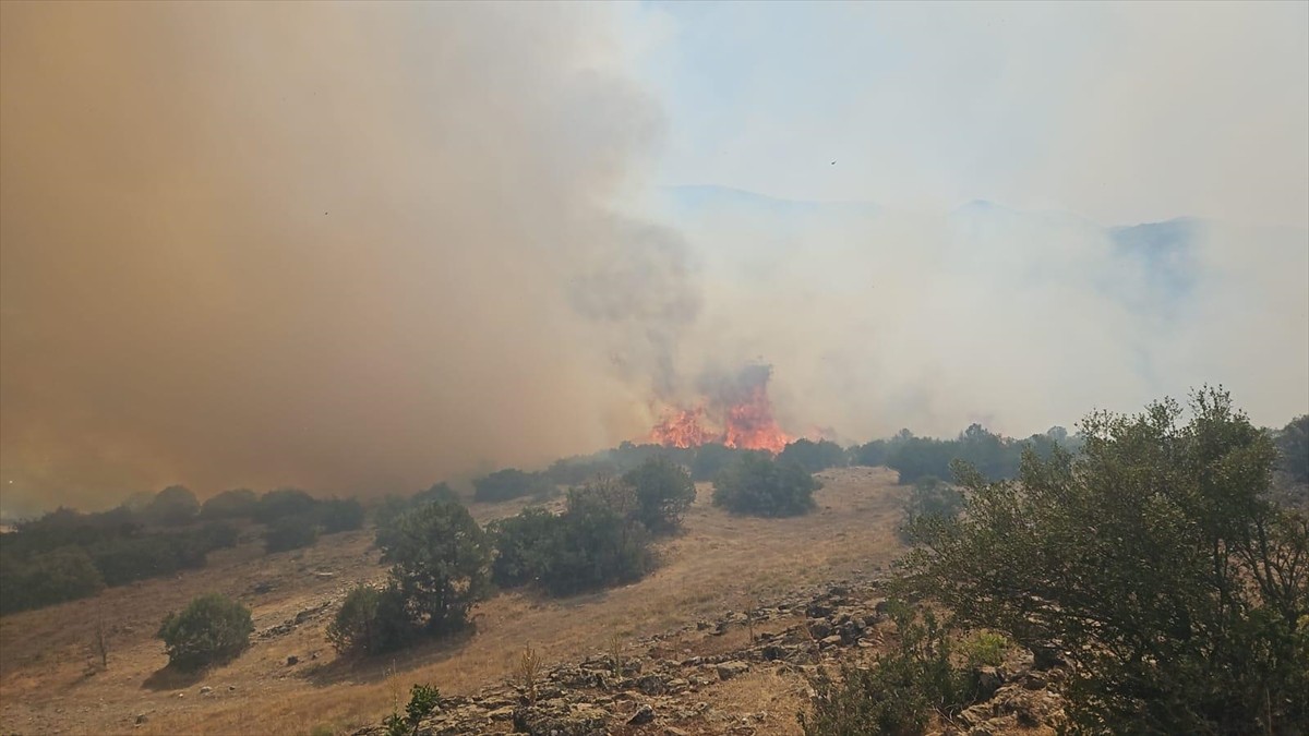 Balıkesir'in Kepsut ilçesindeki ormanlık alanda yangın çıktı.