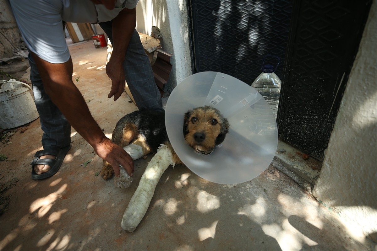 Balıkesir'in Sındırgı ilçesinde meydana gelen 6,1 büyüklüğündeki depremde binadan düşen molozun...