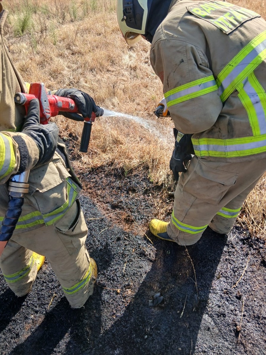 Balıkesir'in Sındırgı ilçesindeki bir tavuk çiftliği ile Edremit ilçesindeki eski zeytinyağı...