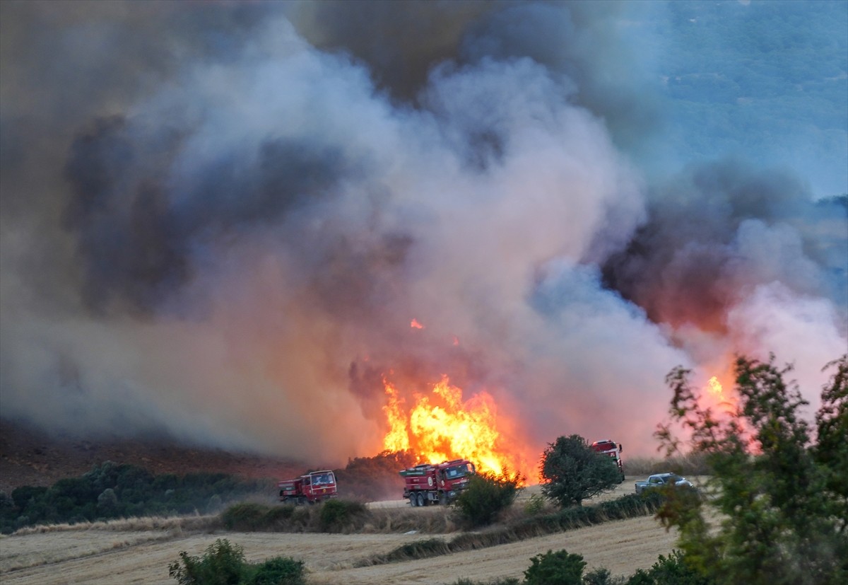 Balıkesir'in Susurluk ilçesinde çıkan orman yangınına havadan ve karadan müdahale ediliyor.
