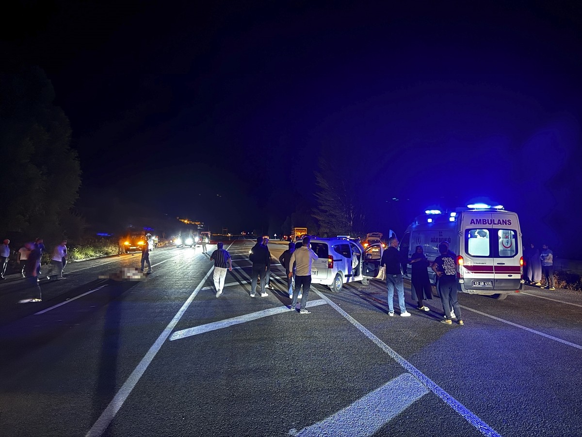 Bingöl'ün Karlıova ilçesinde ata çarpan hafif ticari araçtaki 1 kişi yaşamını yitirdi, at da...