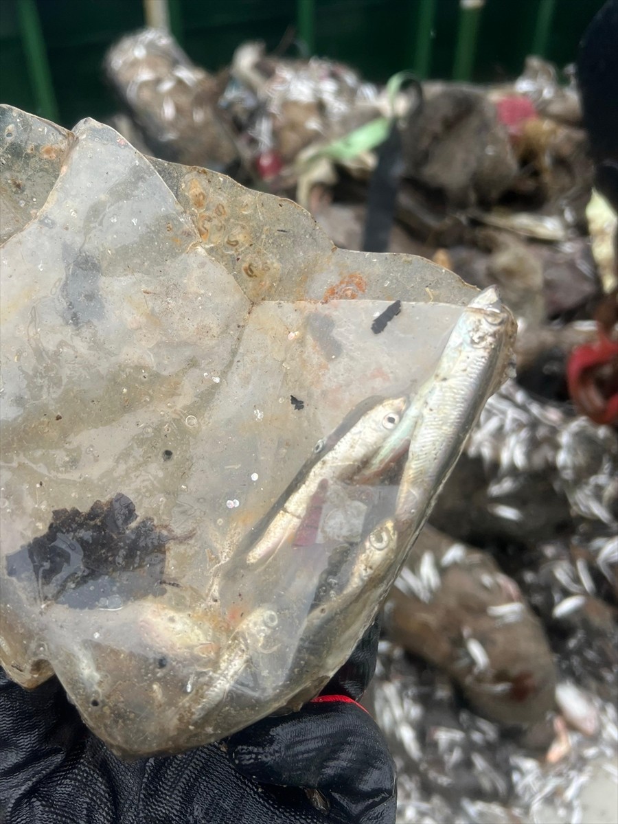 Birleşmiş Milletler Çevre Programı (UNEP) verilerine göre, dünyada her gün 2 bin çöp kamyonu kadar...