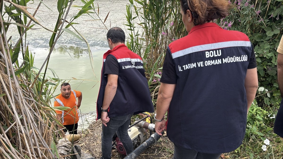 Bolu'da balık ölümlerinin yaşandığı merkeze bağlı Çepni köyündeki gölette, Tarım ve Orman İl...