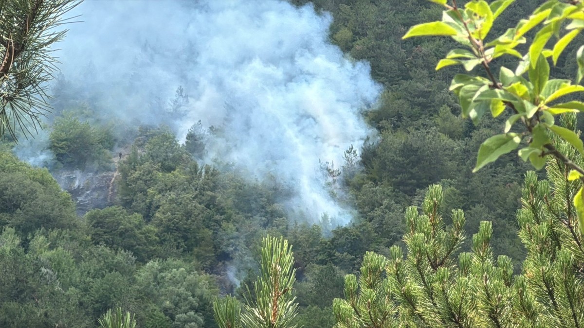 Bolu'da ormanlık alanda çıkan yangın, ekiplerce söndürülmeye çalışılıyor.