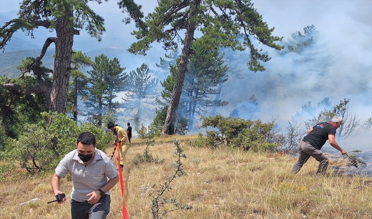Bolu'nun Göynük ilçesine bağlı Tekirler köyünde çıkan orman yangını havadan ve karadan yapılan...
