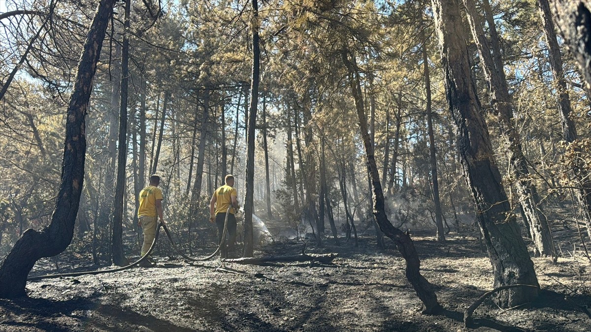 Bolu'nun Mudurnu ilçesinde çıkan orman yangını havadan ve karadan müdahaleyle kısmen kontrol...