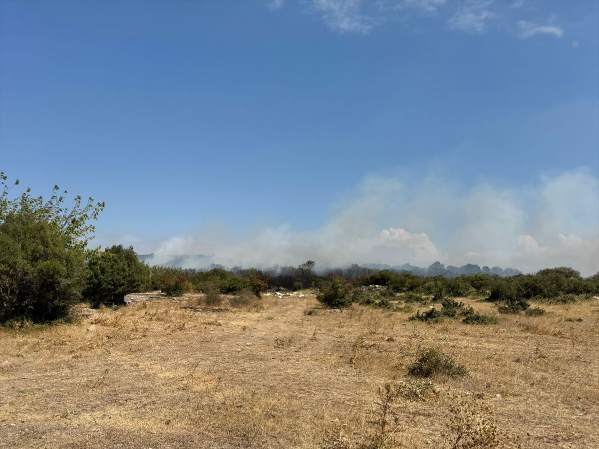Bursa'nın Nilüfer ilçesinde orman yangını çıktı.