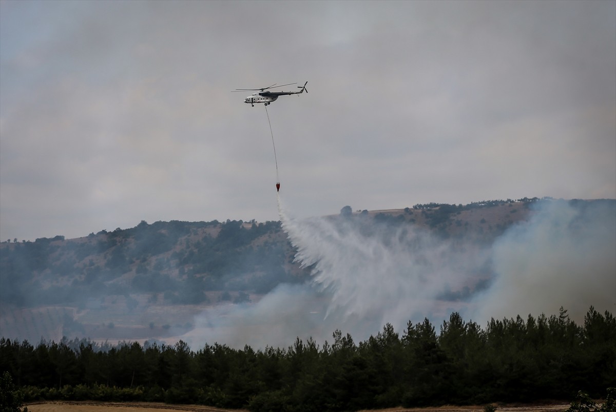 Bursa'nın Yenişehir ilçesinde, ormanlık alanda çıkan yangına havadan ve karadan müdahale...
