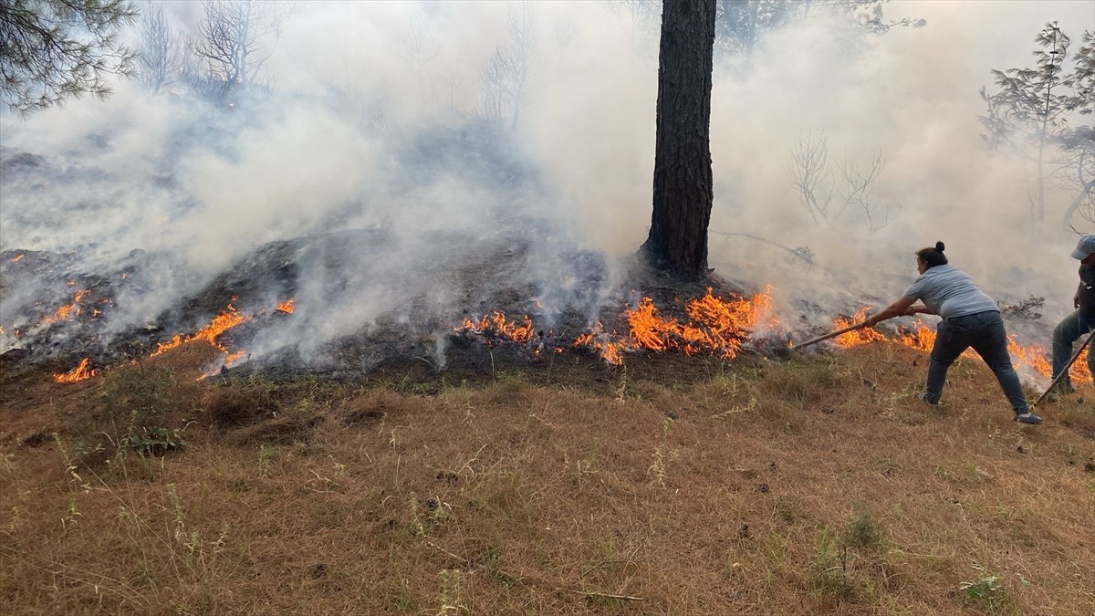 Çanakkale'nin Ayvacık ilçesinde çıkan orman yangınına havadan ve karadan müdahale ediliyor.