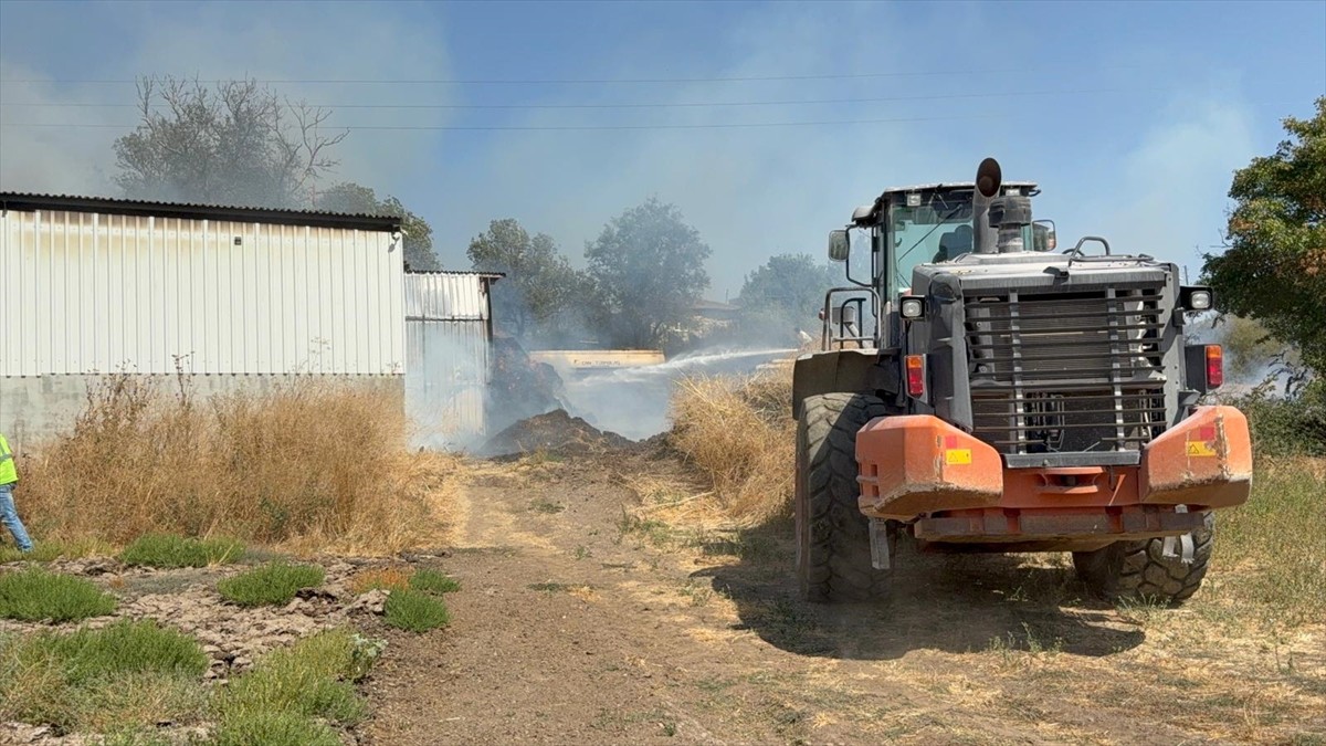 Çanakkale'nin Çan ilçesindeki ahırda çıkan yangın, ekiplerin müdahalesiyle söndürüldü.  Ahırdaki...
