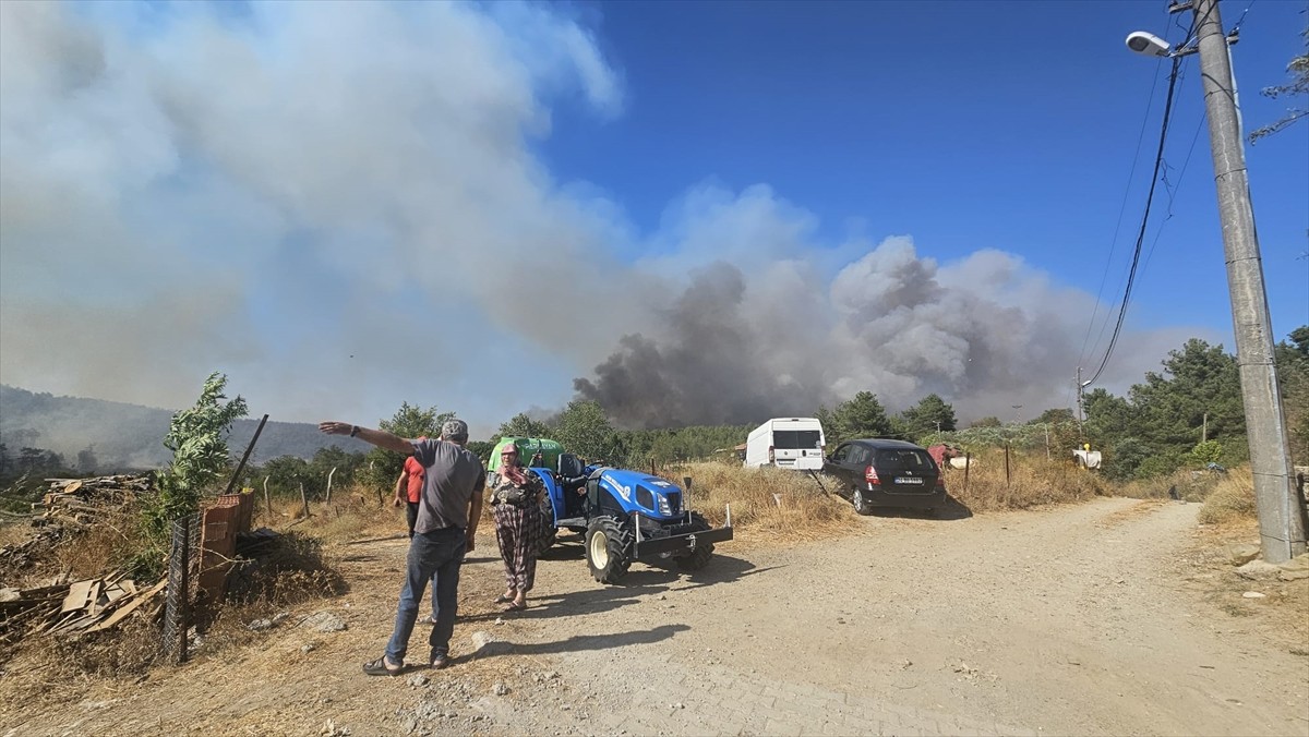 Çanakkale'nin Gelibolu ilçesinde çıkan yangına havadan ve karadan müdahale ediliyor.