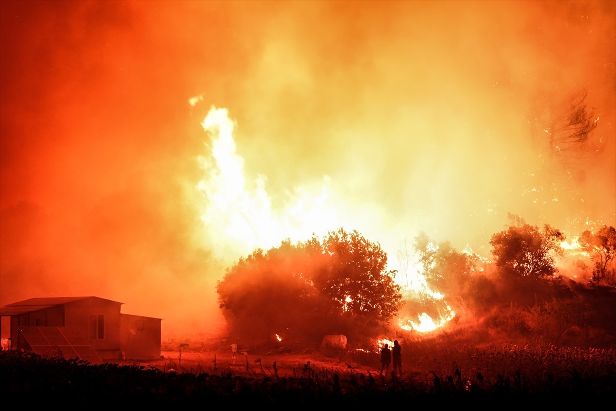 Çanakkale'nin Gelibolu ilçesinde ormanlık alanda çıkan yangına karadan müdahale ediliyor.
