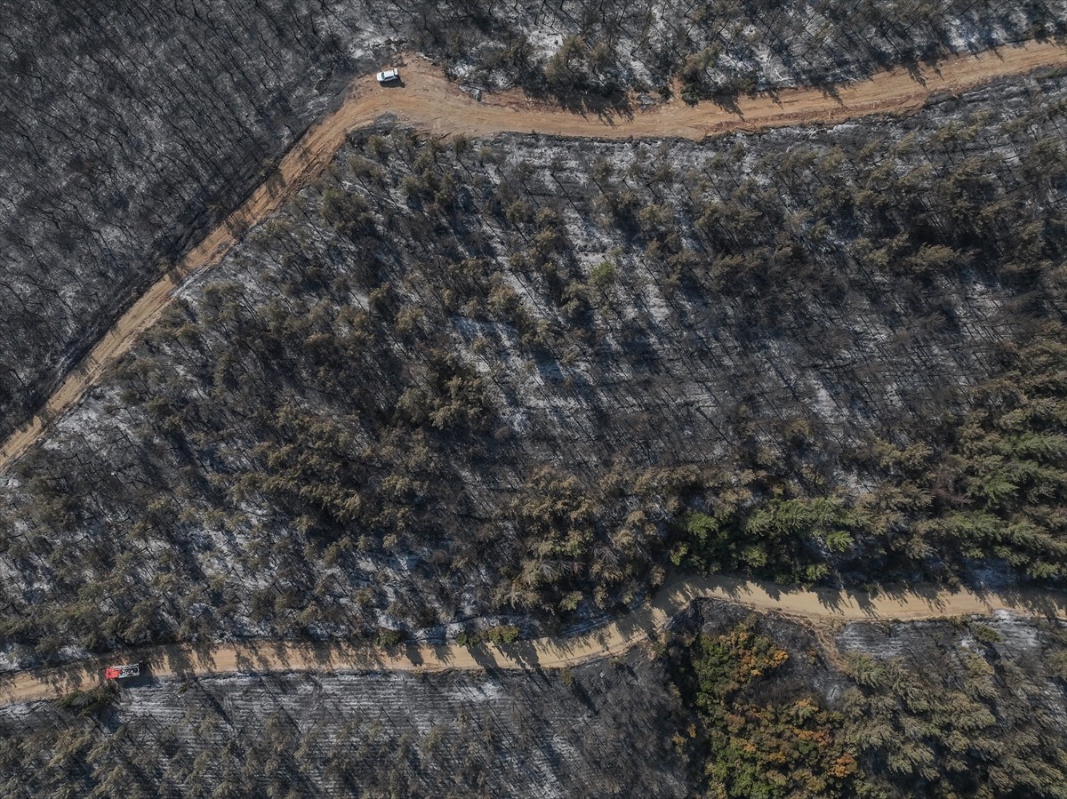 Çanakkale'nin Gelibolu ilçesindeki ormanlık alanda başlayıp Eceabat ilçesine ulaşan ve tamamen...