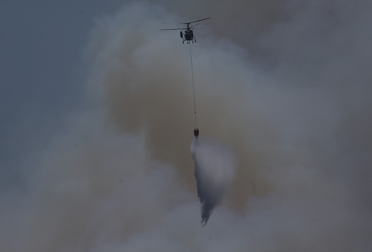 Çanakkale'nin merkez ilçesine bağlı Kepez beldesinde çıkan orman yangınına havadan ve karadan...