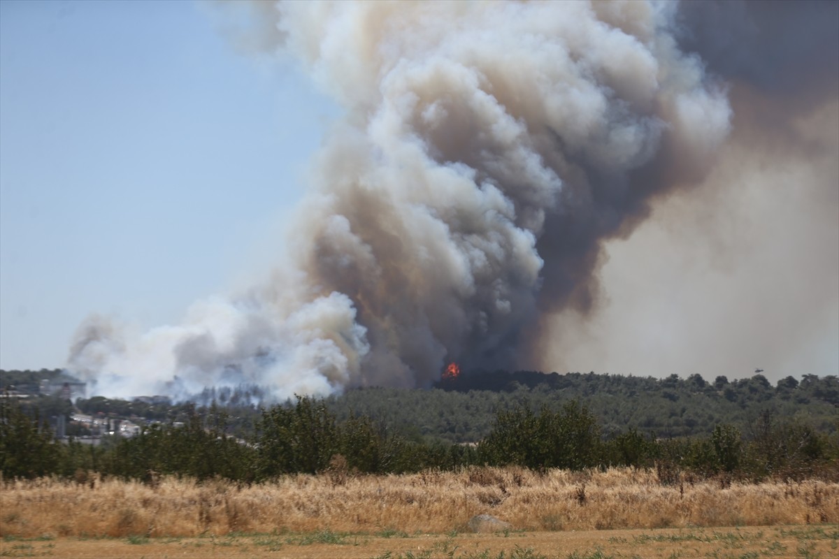 Çanakkale'nin merkez ilçesine bağlı Kepez beldesinde çıkan orman yangınına havadan ve karadan...