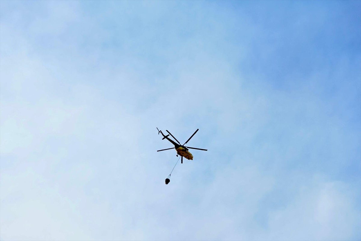 Denizli'nin Pamukkale ilçesinde çıkan orman yangını, havadan ve karadan müdahaleyle kontrol altına...