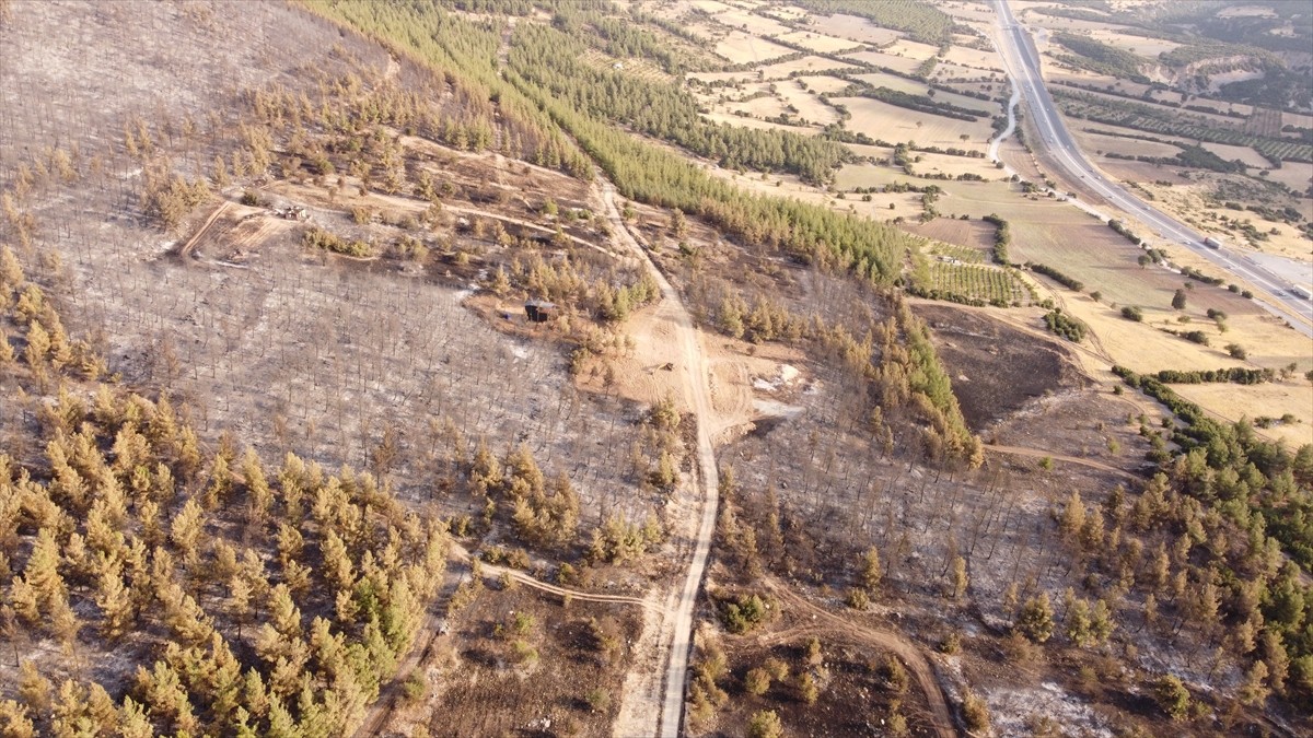 Denizli'nin Pamukkale ilçesindeki orman yangını kontrol altına alındı. Bölgede soğutma çalışmaları...