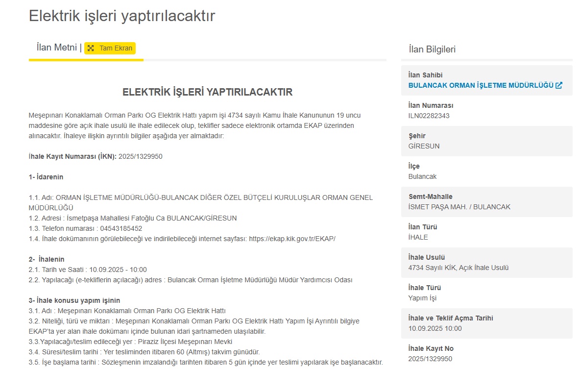 Devlet destekli elektrik ve altyapı atağı: Meşepınarı ve Hekimhan ihaleye çıktı