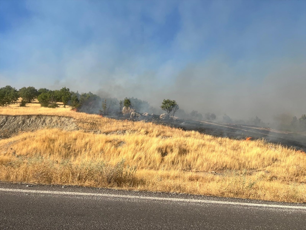 Diyarbakır'ın Hani ve Lice ilçeleri kırsalındaki ormanlık alanda yangın çıktı.