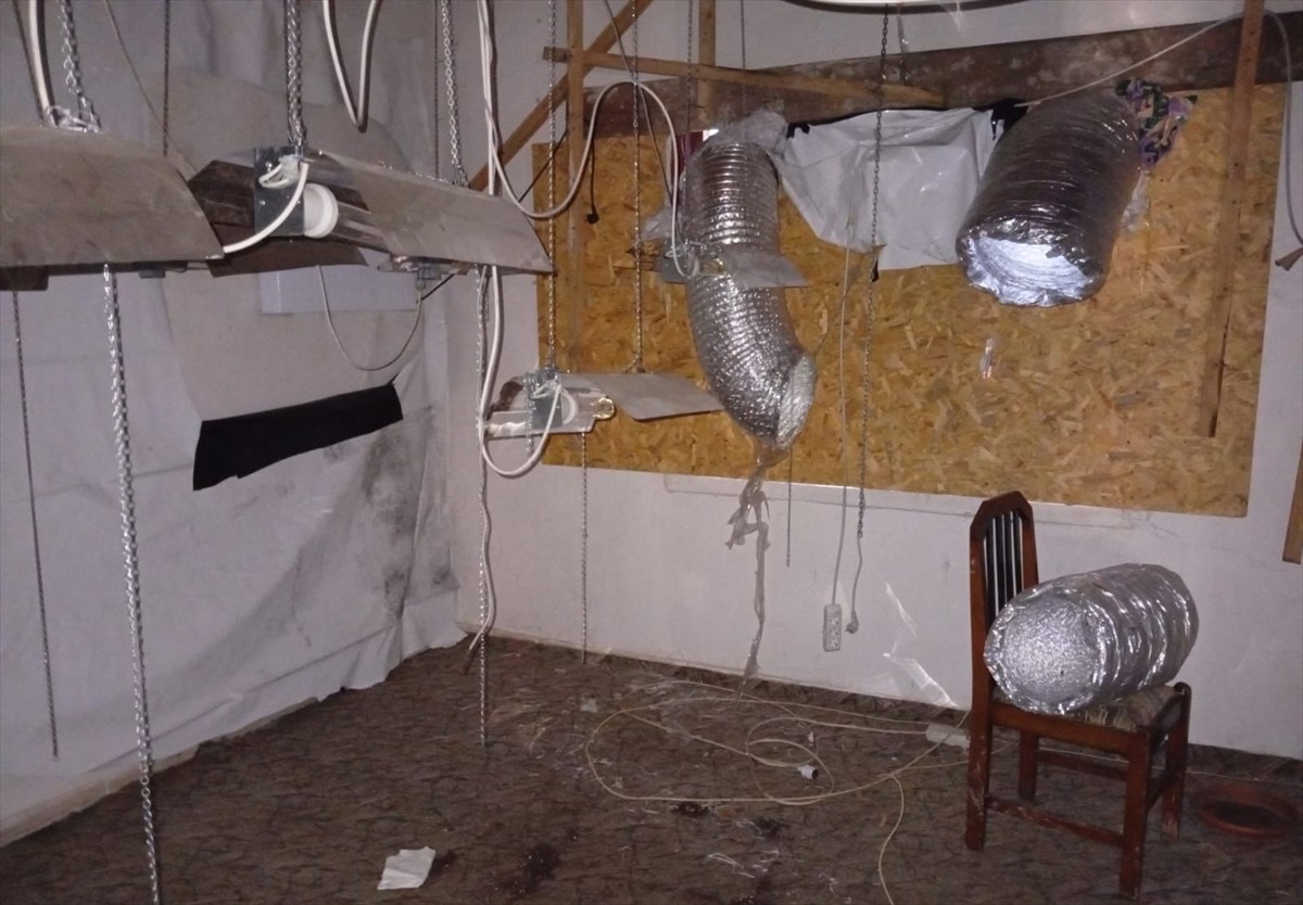 Düzce'nin Gümüşova ilçesinde arazilerinde kenevir yetiştirdiği fotokapanla tespit edilen zanlı...