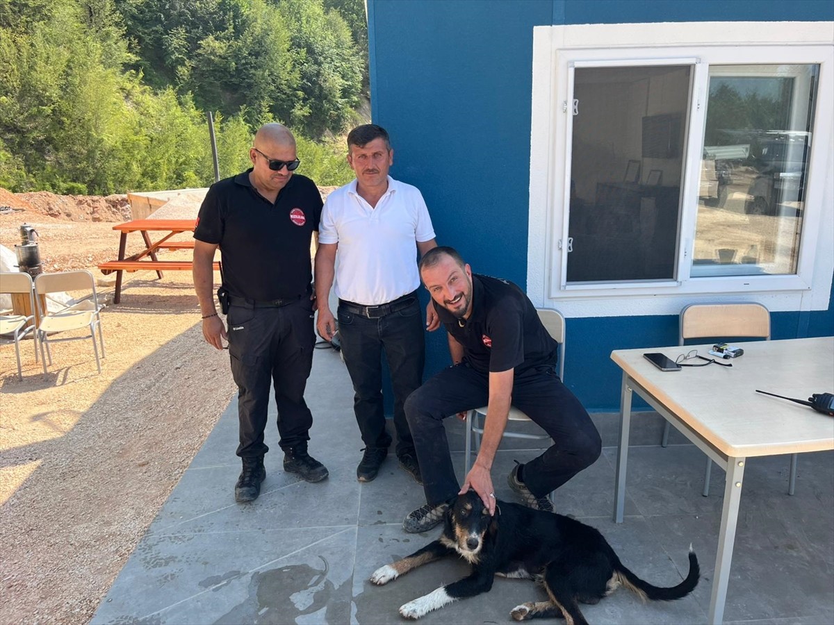 Düzce'nin Yığılca ilçesinde kaybolduktan 3 gün sonra kayalıklarda bulunan köpek, arama kurtarma...