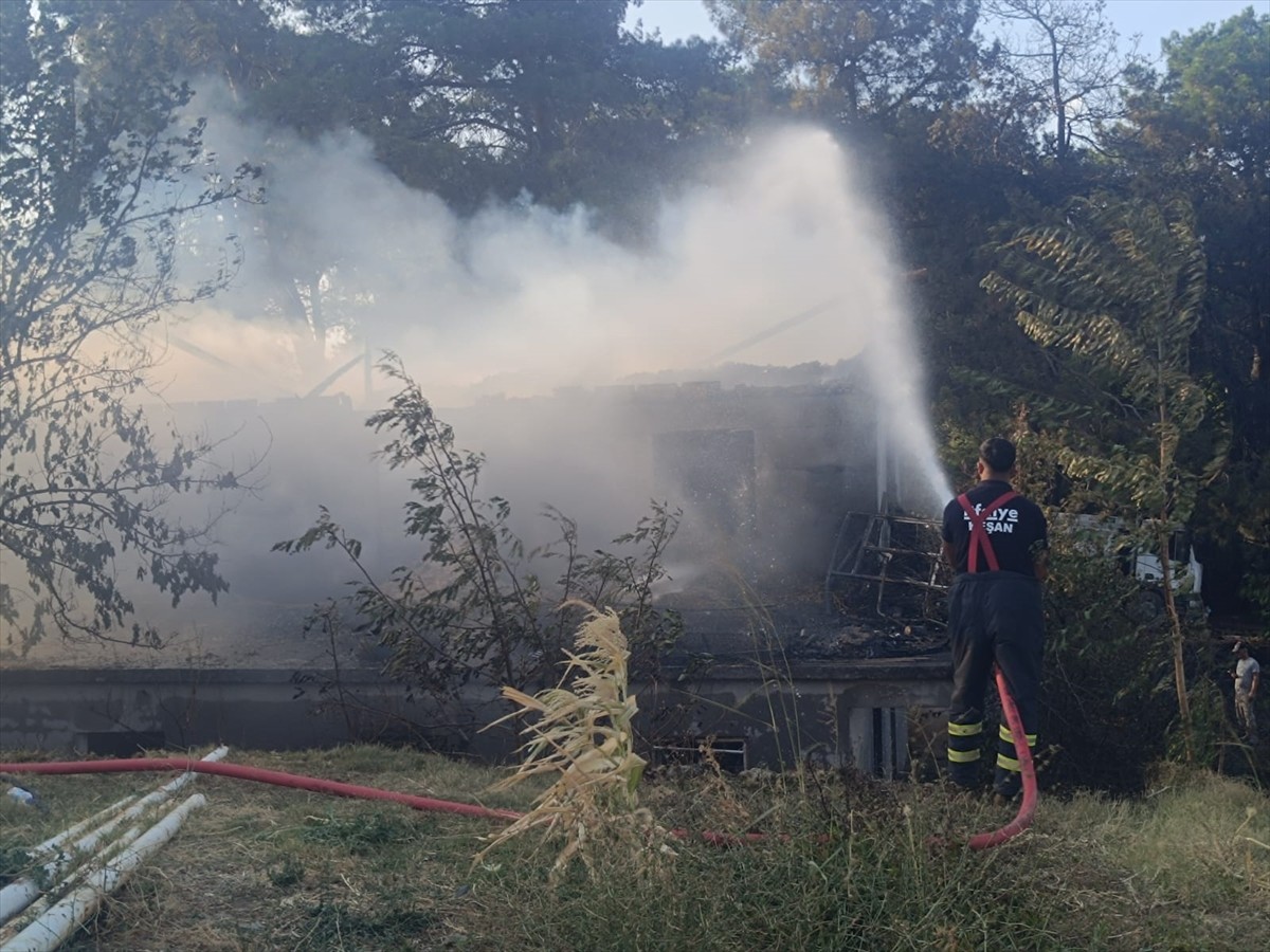 Edirne'nin Keşan ilçesinde çıkan orman yangını, ekiplerin havadan ve karadan müdahalesiyle kontrol...