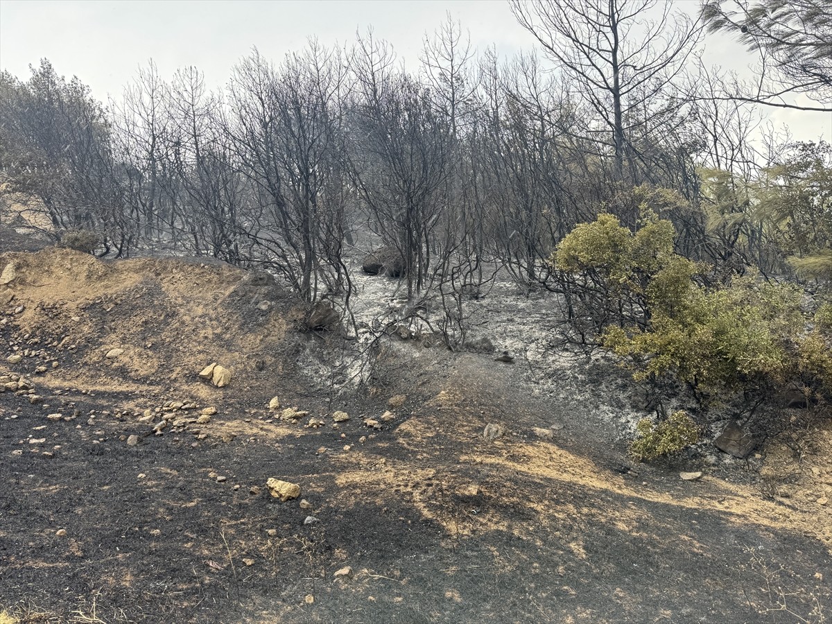  Edirne'nin Keşan ilçesinde çıkan orman yangınına havadan ve karadan müdahale ediliyor.