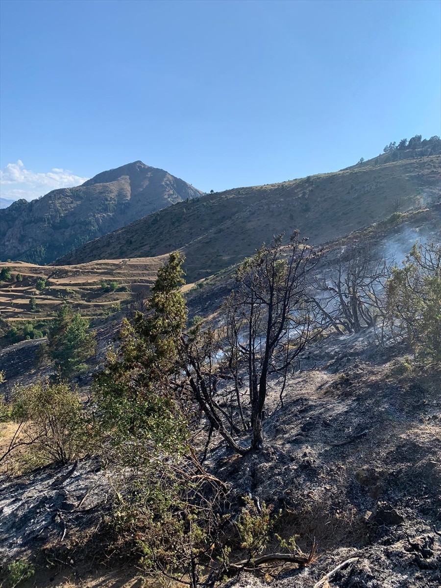 Erzurum'un İspir ilçesinde çıkan örtü yangını, itfaiye ve orman işletme ekiplerince...