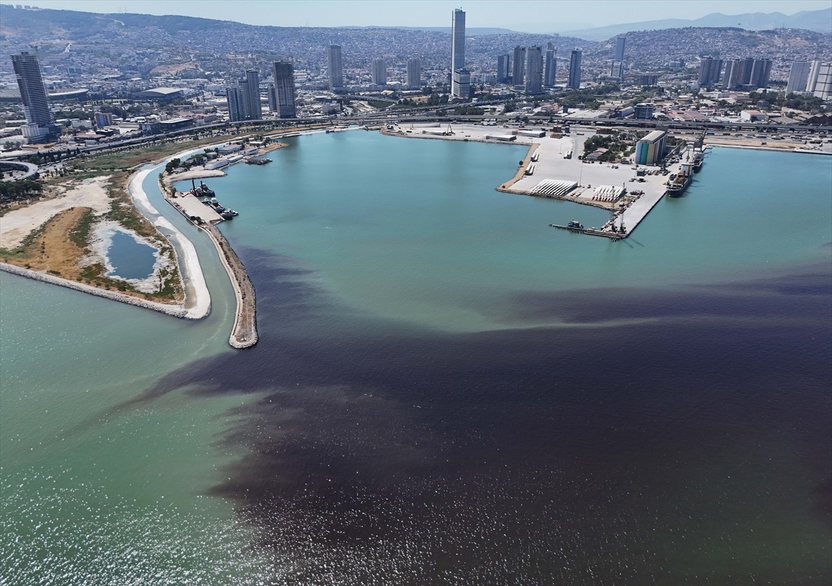 Geçen yıl kötü koku ve balık ölümleriyle gündeme gelen İzmir Körfezi'ndeki Turan Sahili'ne çok...