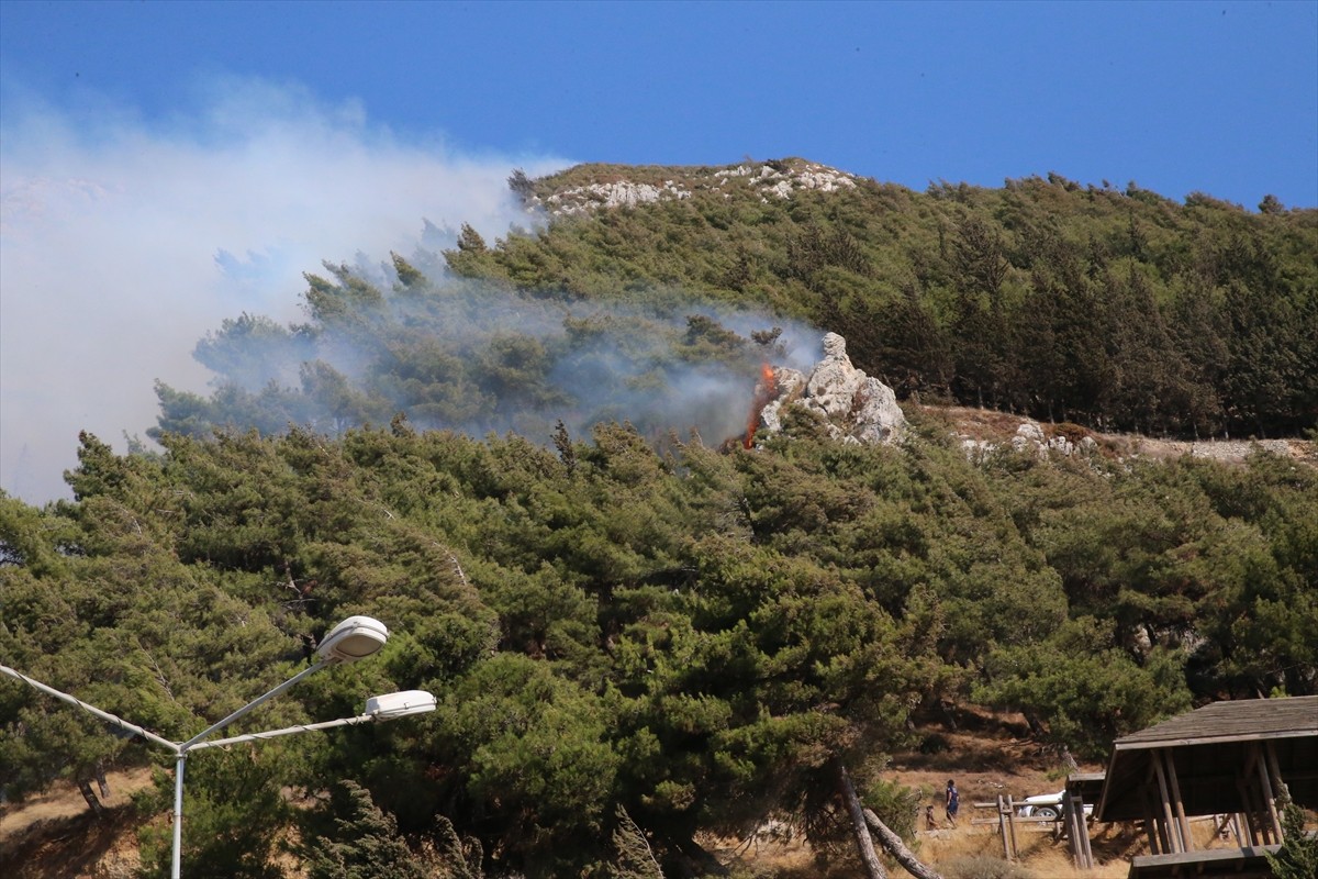 Hatay'ın merkez Antakya ilçesinde çıkan orman yangınına havadan ve karadan müdahale ediliyor.