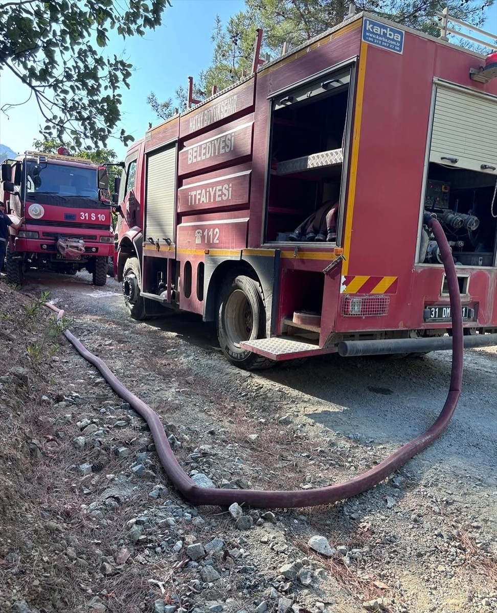 Hatay’ın Samandağ ilçesinde ormanlık alanda çıkan yangın, ekiplerin müdahalesiyle...